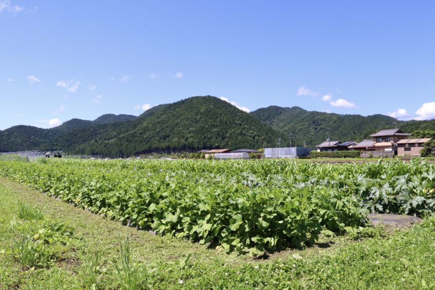 里の駅大原旬菜市場