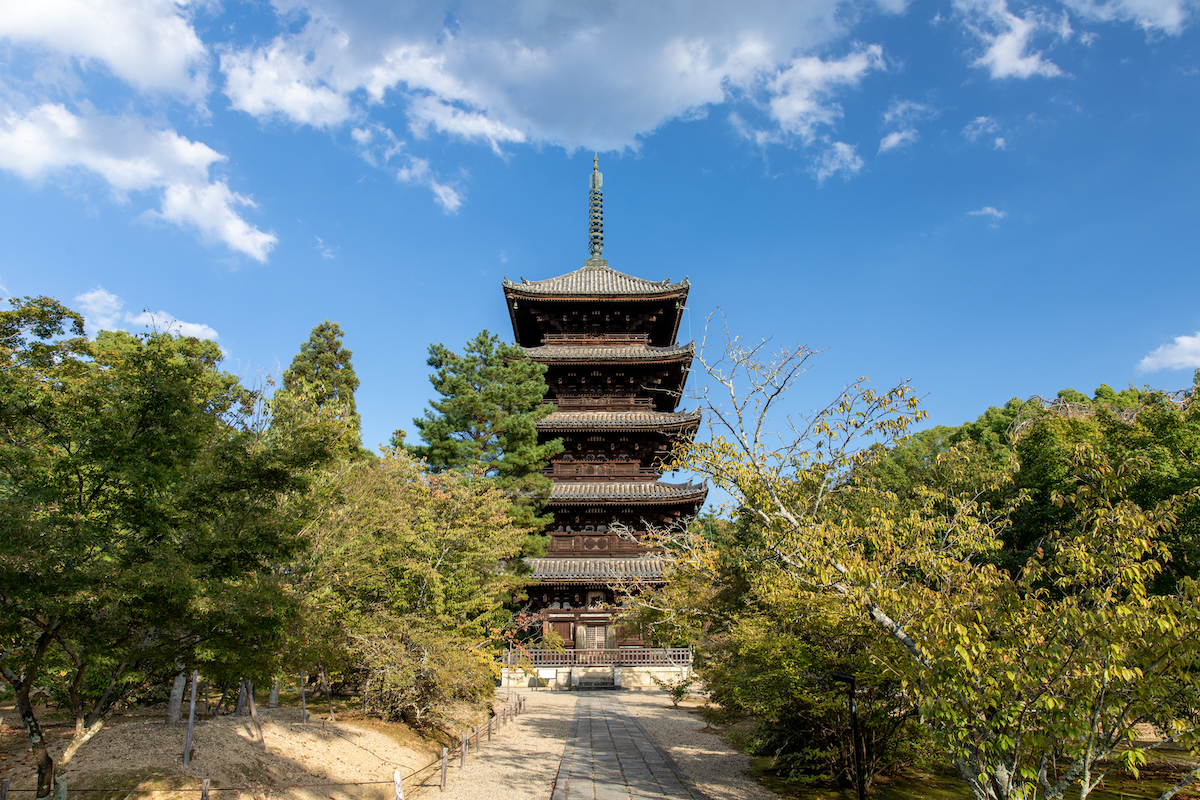 仁和寺 京都館京都館