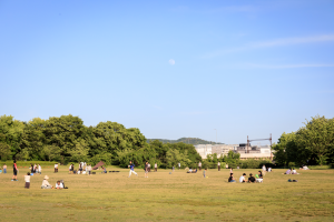 梅小路公園周辺