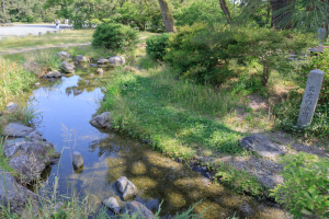 御所の出水の小川