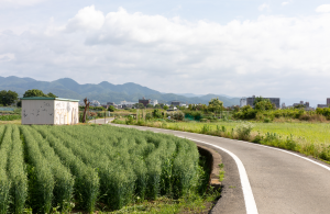 嵐山サイクリングロード