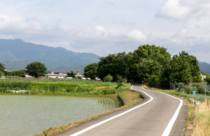 嵐山サイクリングロード