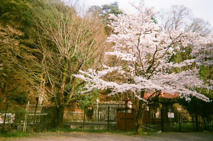 京都市東山区 蹴上疏水