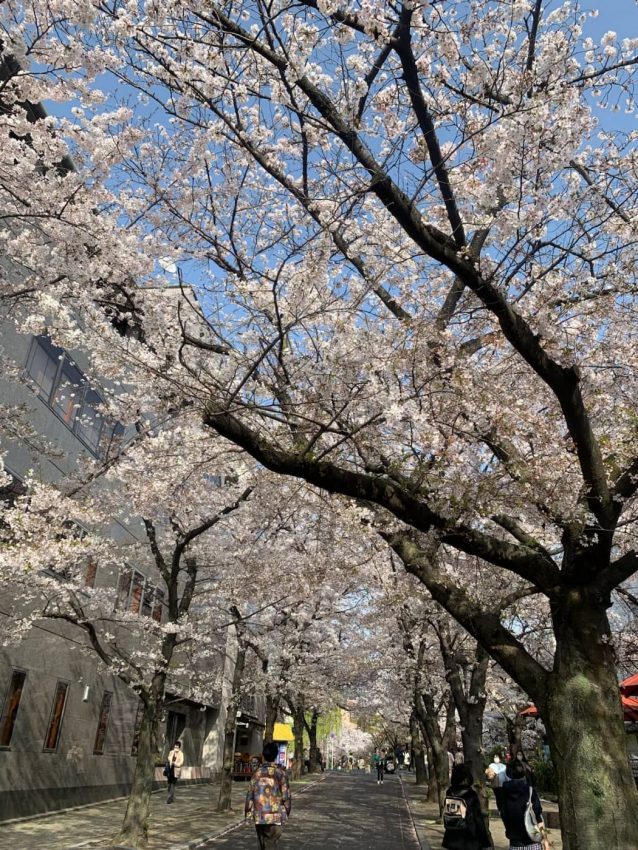 京都市東山区 祇園白川