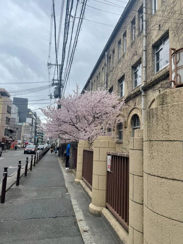 京都市下京区 京都文化協会