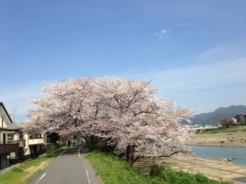 京都市中京区 桂川サイクリングロード