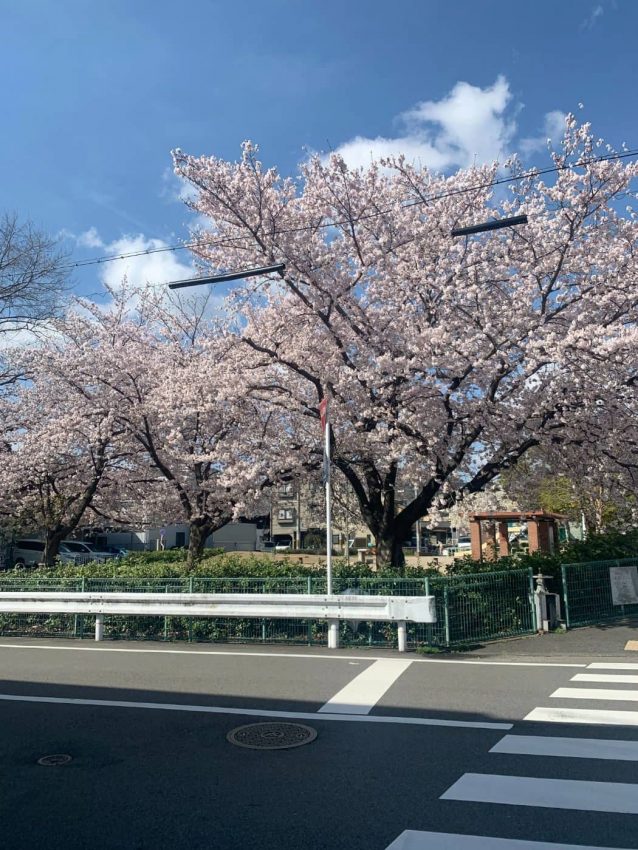 京都市西京区 東ノ口公園