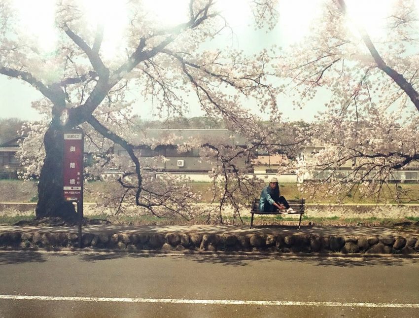 京都市左京区 バス停「御蔭橋」