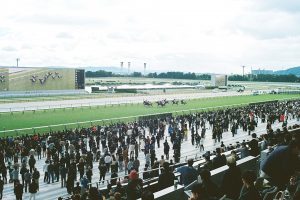 京都競馬場