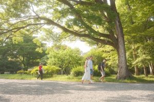 京都御所のベンチ